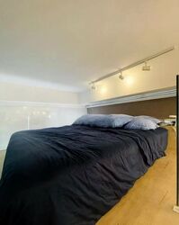 Sims Urban Oasis (D14), Condominium #504315611